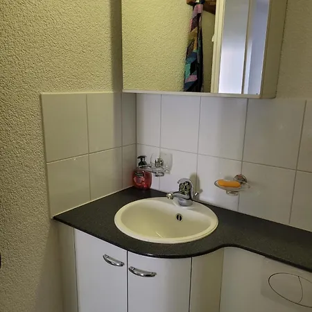 1 Flat-room 아파트 *